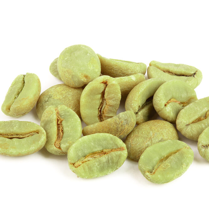 Maximizing the Fat-Burning Power of Green Coffee Bean Extract